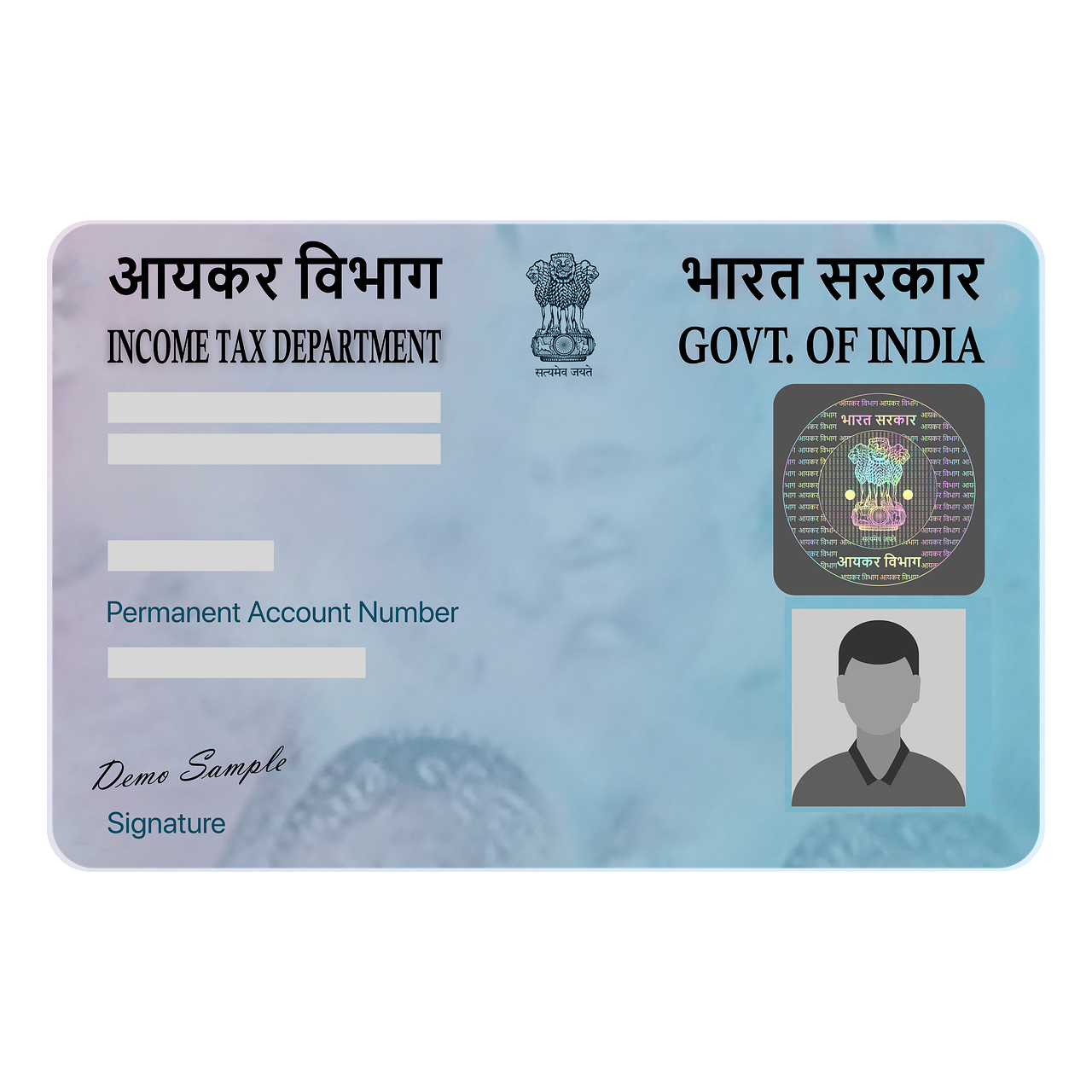 Types of PAN Cards in India